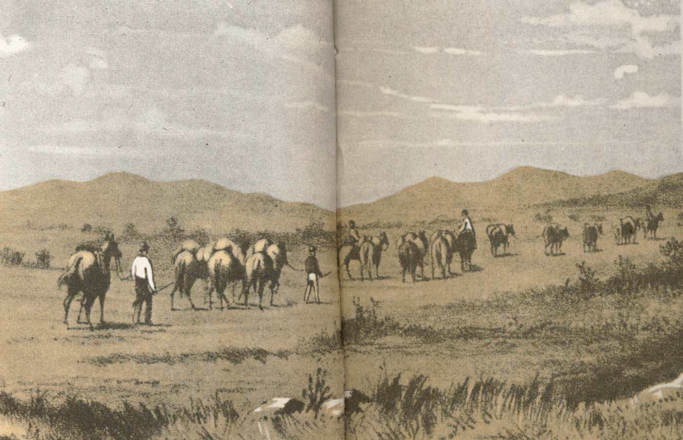 william r clark fohn forres expedition rastar nara murchison flodes kallor under farden 1874 fran vastra australien till telrgraflinjen soder om alice springs.